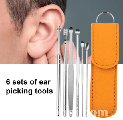 6pcs Ear cleaner set Stainless steel with lather case